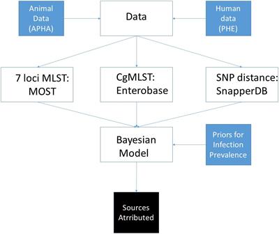 Bayesian Source Attribution of Salmonella Typhimurium Isolates From Human Patients and Farm Animals in England and Wales